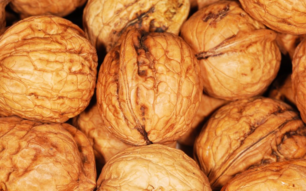 nueces